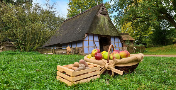 Apfel und Kartoffeltag