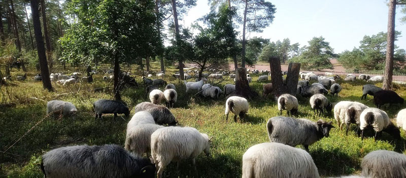 Foto: Landkreis Harburg