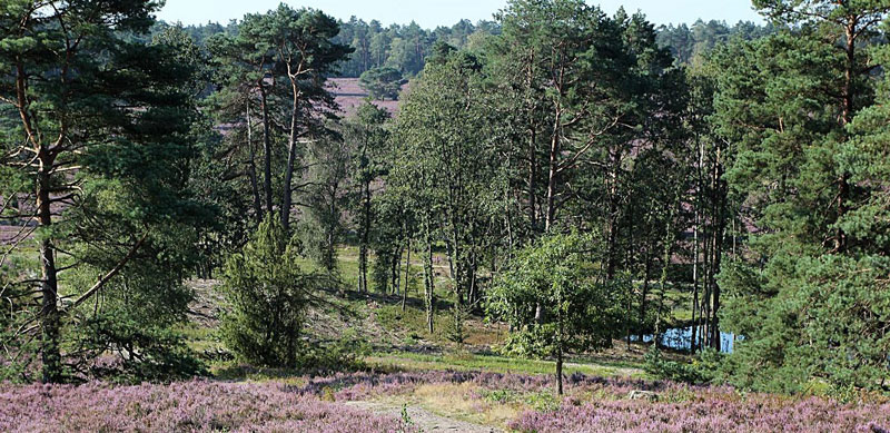 Foto: Landkreis Harburg