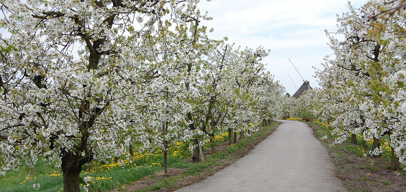 Foto: © Gerd Demitz