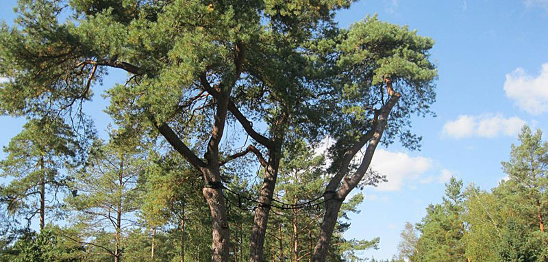 Foto: Landkreis Harburg