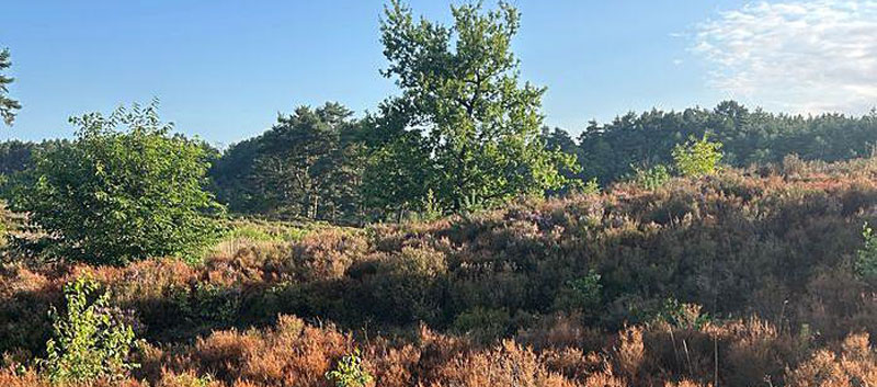 Foto: Landkreis Harburg