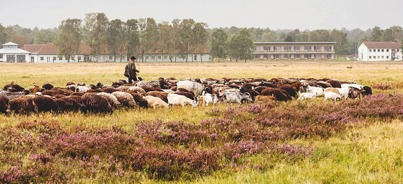 Foto: MarTiem Fotografie - Camp Reinsehlen