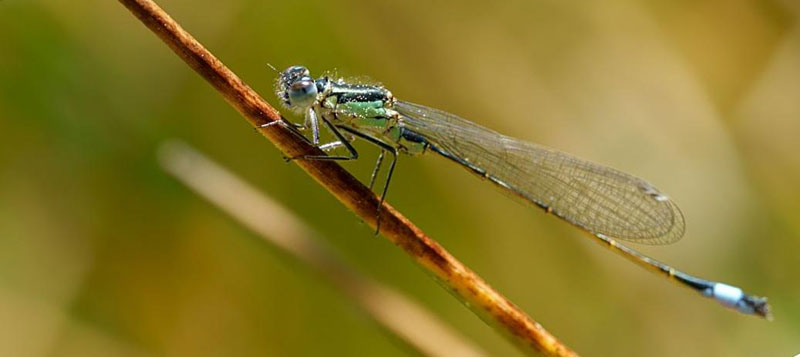 Foto: Andreas Maron/Landkreis Harburg