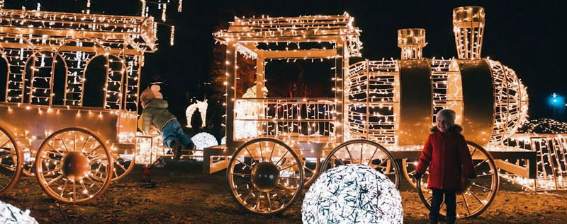 Foto: Wildpark Schwarze Berge