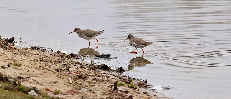 Foto: Landkreis Harburg