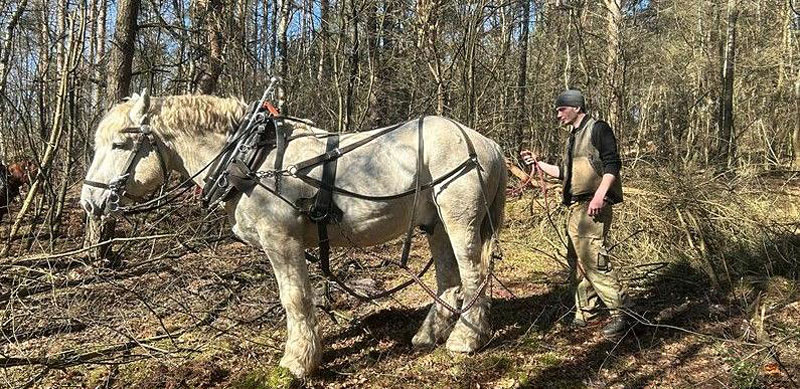 Foto: Landkreis Harburg