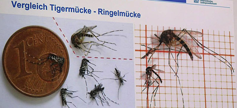 Foto: Stadt Buchholz